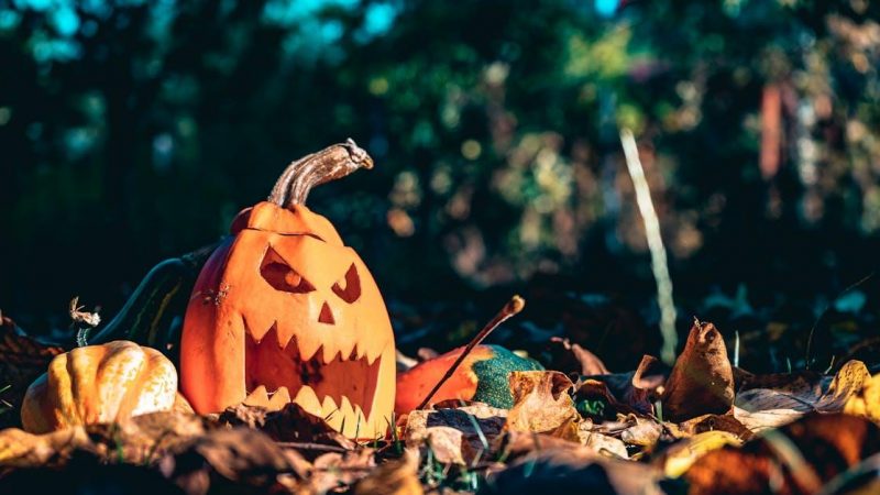 Par-kostumer til halloween: Matchende idéer